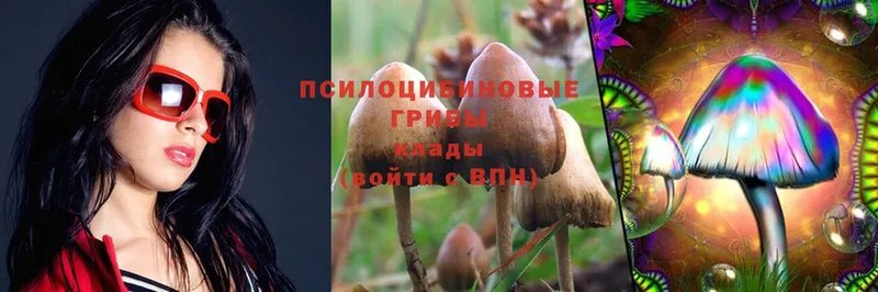 Галлюциногенные грибы Psilocybe  Белый 